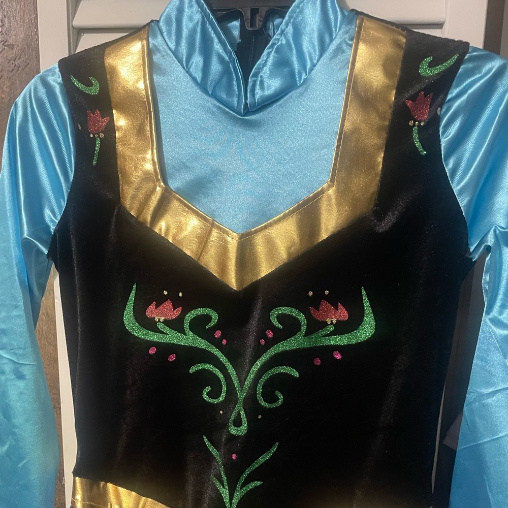 Adult Anna Costume Dress - Blue and Gold